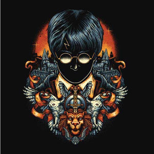 tshirt-t-shirt-harry-potter-the-chosen-one-coton-bio-noir