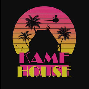 tshirt-retro-island-kame-house-la-maison-de-tortue-geniale-coton-bio-noir