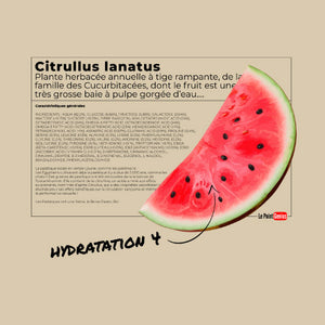 Tshirt Pastèque - Noir