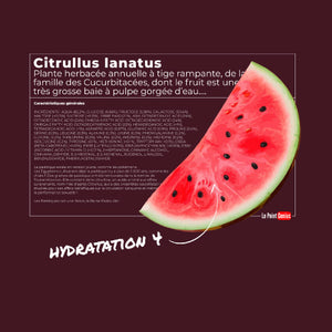 Tshirt Pastèque - Blanc