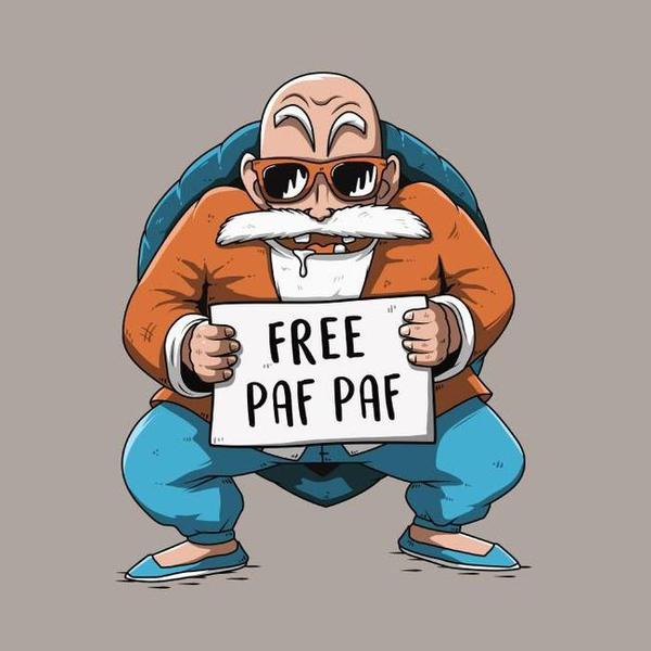Free Paf Paf - Tortue Géniale