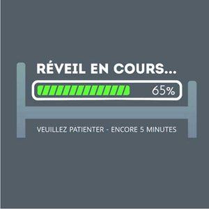 tshirt-reveil-en-cours-coton-bio-gris-mineral