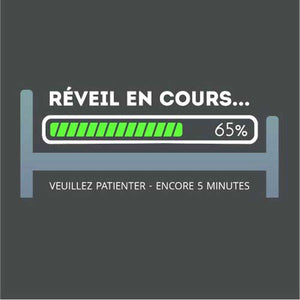 tshirt-reveil-en-cours-coton-bio-gris-fonce