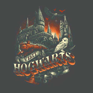 tshirt-t-shirt-harry-potter-home-of-magic-and-greatness-coton-bio-gris-fonce