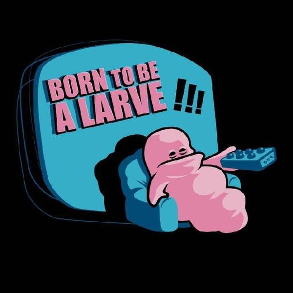 Born to be a larve !