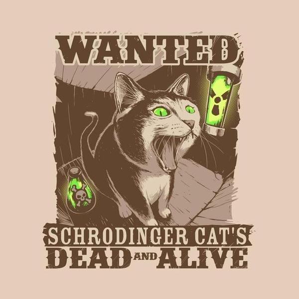 Dead and Alive - Schrodinger