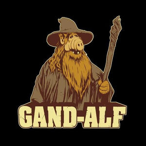 Gandalf - T shirt Alf - Couleur Noir